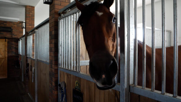 Kromet realizacja Black Horse Bar & Grill w Myślinowie